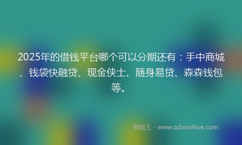 2025年的借钱平台哪个可以分期还有：手中商城、钱袋快融贷、现金侠士、随身易贷、森森钱包等。