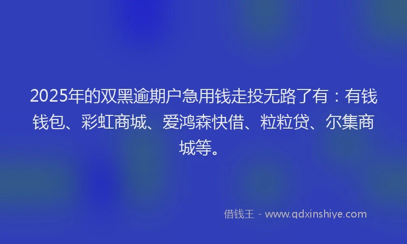 2025年的双黑逾期户急用钱走投无路了有：有钱钱包、彩虹商城、爱鸿森快借、粒粒贷、尔集商城等。