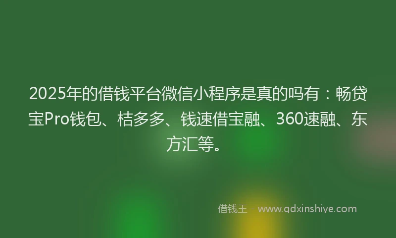 2025年的借钱平台微信小程序是真的吗有：畅贷宝Pro钱包、桔多多、钱速借宝融、360速融、东方汇等。