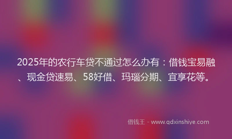 2025年的农行车贷不通过怎么办有：借钱宝易融、现金贷速易、58好借、玛瑙分期、宜享花等。