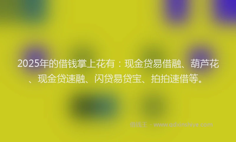 2025年的借钱掌上花有：现金贷易借融、葫芦花、现金贷速融、闪贷易贷宝、拍拍速借等。