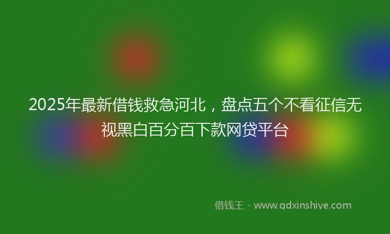 2025年最新借钱救急河北，盘点五个不看征信无视黑白百分百下款网贷平台