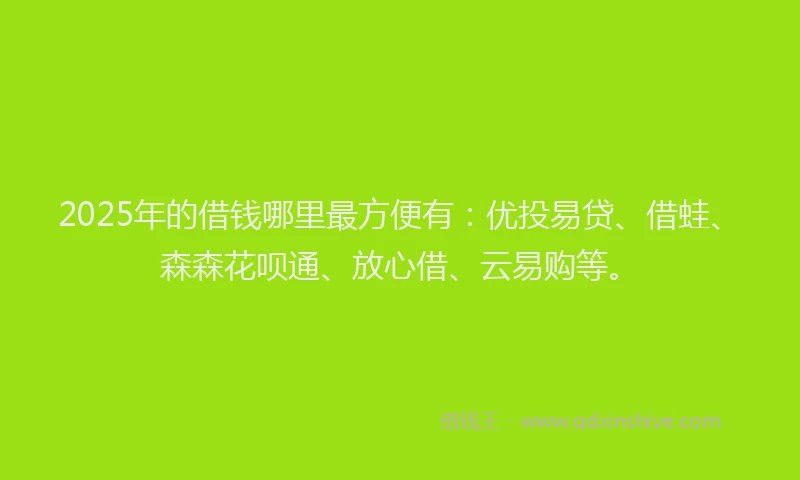 2025年的借钱哪里最方便有：优投易贷、借蛙、森森花呗通、放心借、云易购等。