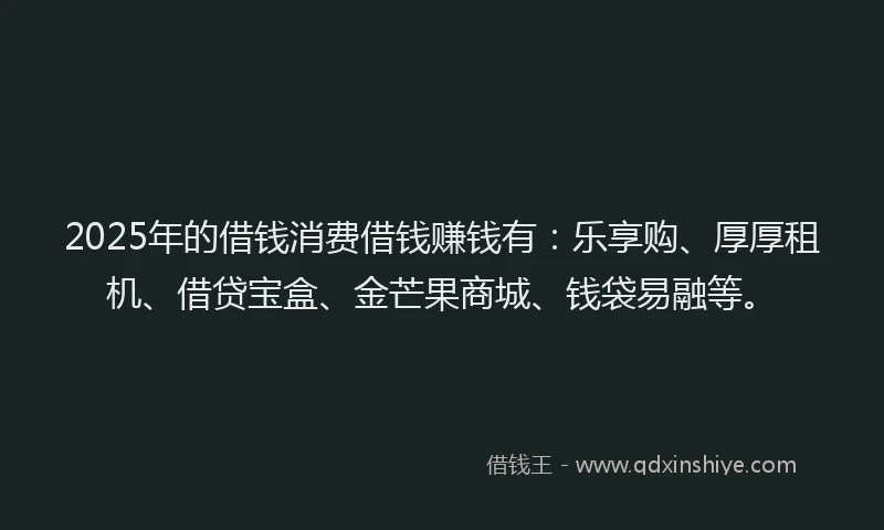 2025年的借钱消费借钱赚钱有：乐享购、厚厚租机、借贷宝盒、金芒果商城、钱袋易融等。