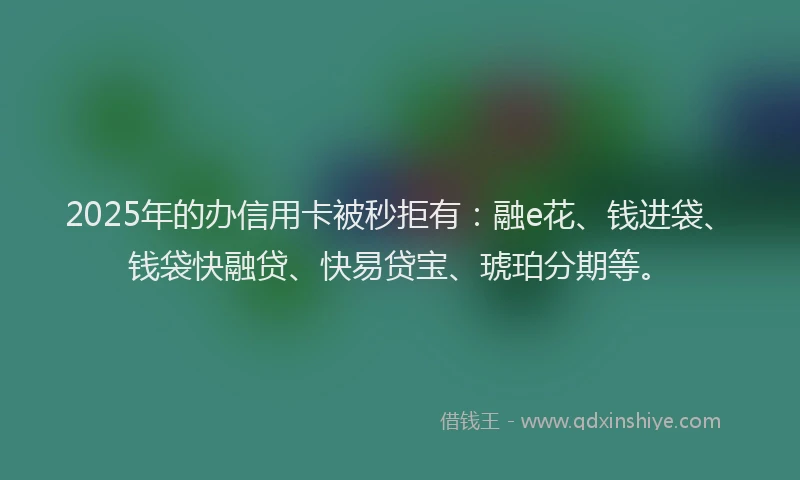 2025年的办信用卡被秒拒有：融e花、钱进袋、钱袋快融贷、快易贷宝、琥珀分期等。