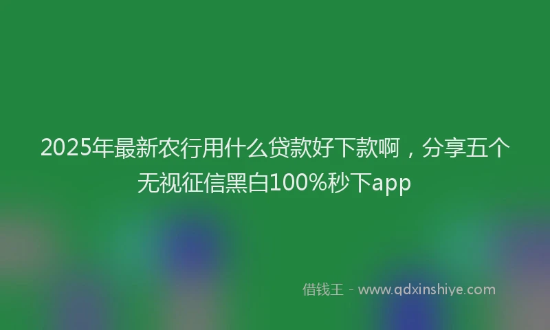 2025年最新农行用什么贷款好下款啊，分享五个无视征信黑白100%秒下app