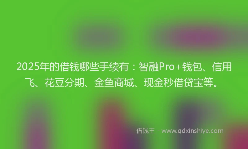 2025年的借钱哪些手续有：智融Pro+钱包、信用飞、花豆分期、金鱼商城、现金秒借贷宝等。