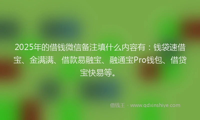 2025年的借钱微信备注填什么内容有：钱袋速借宝、金满满、借款易融宝、融通宝Pro钱包、借贷宝快易等。
