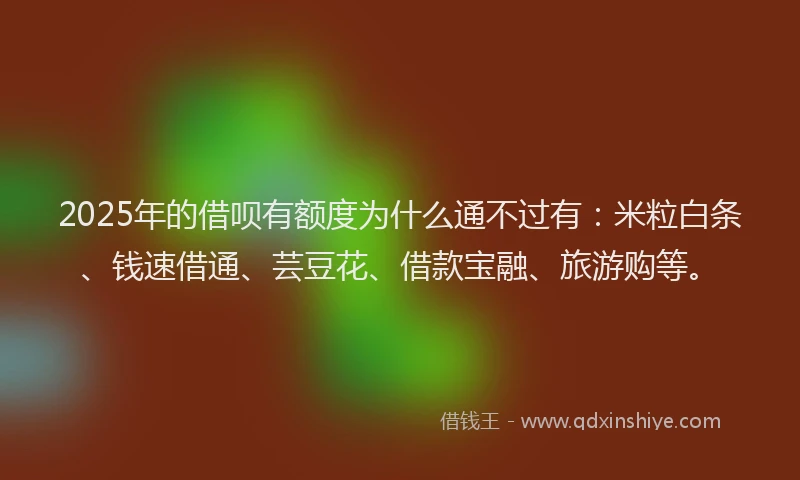 2025年的借呗有额度为什么通不过有：米粒白条、钱速借通、芸豆花、借款宝融、旅游购等。
