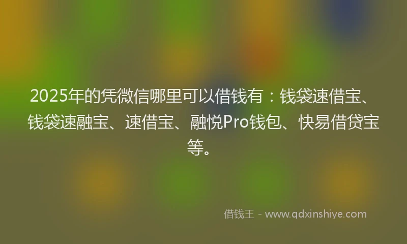 2025年的凭微信哪里可以借钱有：钱袋速借宝、钱袋速融宝、速借宝、融悦Pro钱包、快易借贷宝等。