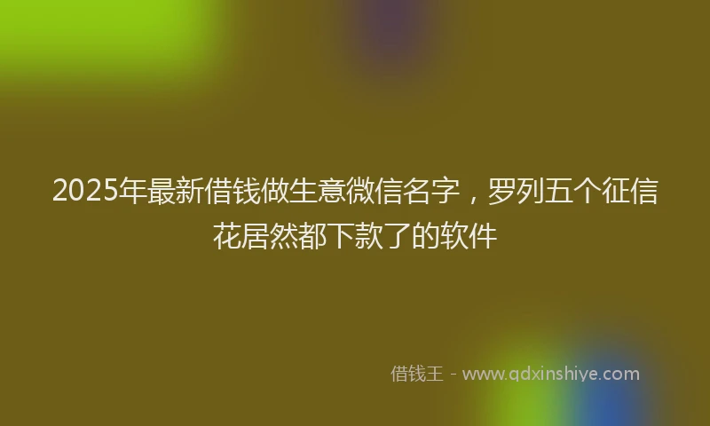 2025年最新借钱做生意微信名字，罗列五个征信花居然都下款了的软件