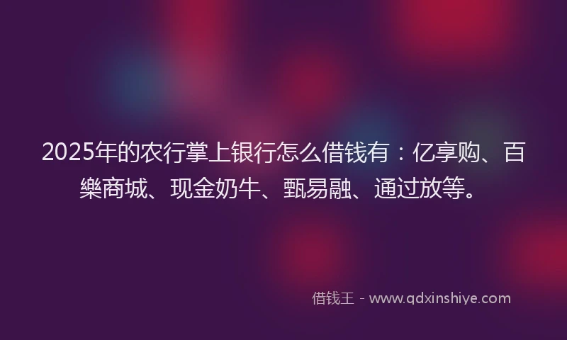 2025年的农行掌上银行怎么借钱有：亿享购、百樂商城、现金奶牛、甄易融、通过放等。