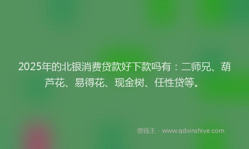2025年的北银消费贷款好下款吗有：二师兄、葫芦花、易得花、现金树、任性贷等。