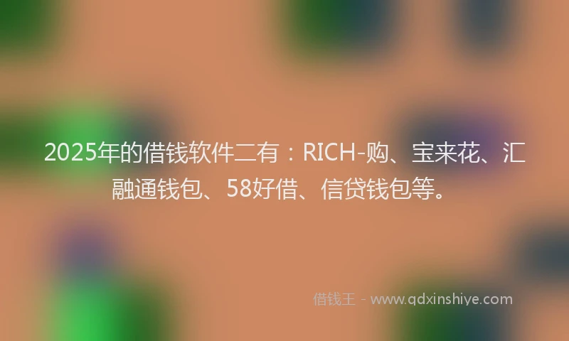 2025年的借钱软件二有：RICH-购、宝来花、汇融通钱包、58好借、信贷钱包等。