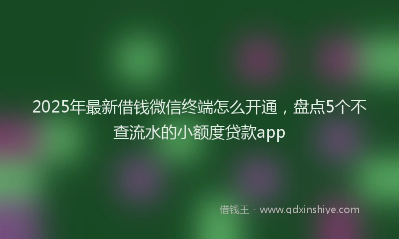2025年最新借钱微信终端怎么开通，盘点5个不查流水的小额度贷款app