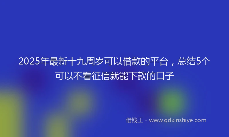 2025年最新十九周岁可以借款的平台，总结5个可以不看征信就能下款的口子