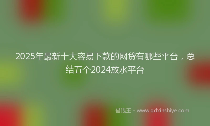 2025年最新十大容易下款的网贷有哪些平台，总结五个2024放水平台