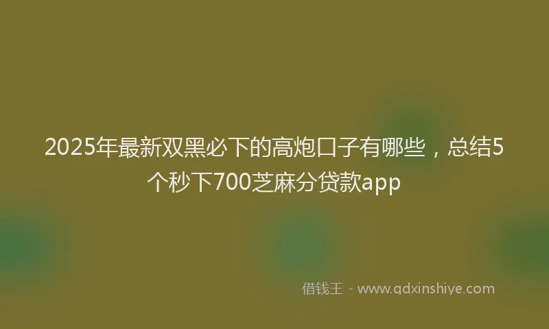 2025年最新双黑必下的高炮口子有哪些，总结5个秒下700芝麻分贷款app