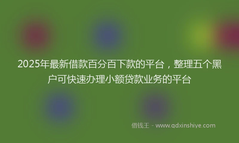 2025年最新借款百分百下款的平台，整理五个黑户可快速办理小额贷款业务的平台