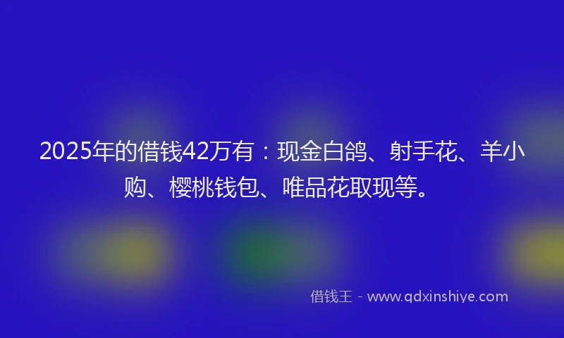 2025年的借钱42万有：现金白鸽、射手花、羊小购、樱桃钱包、唯品花取现等。