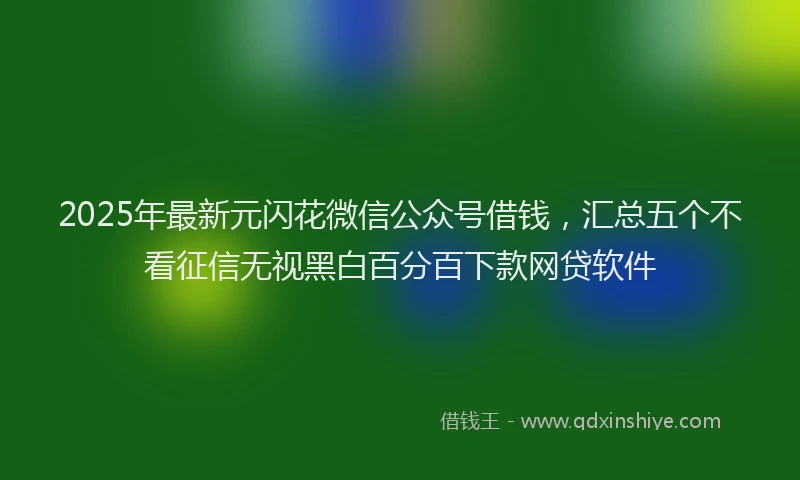 2025年最新元闪花微信公众号借钱，汇总五个不看征信无视黑白百分百下款网贷软件