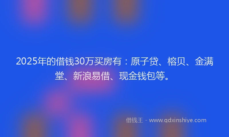 2025年的借钱30万买房有：原子贷、榕贝、金满堂、新浪易借、现金钱包等。