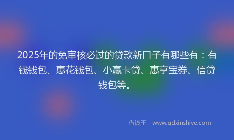2025年的免审核必过的贷款新口子有哪些有：有钱钱包、惠花钱包、小赢卡贷、惠享宝券、信贷钱包等。