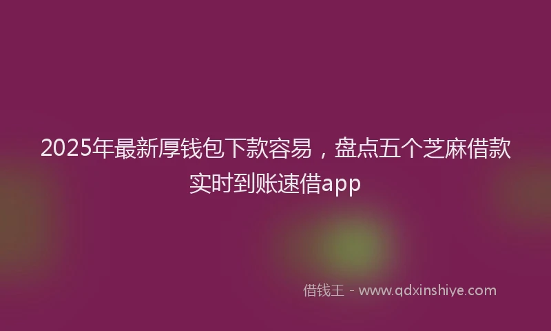 2025年最新厚钱包下款容易，盘点五个芝麻借款实时到账速借app