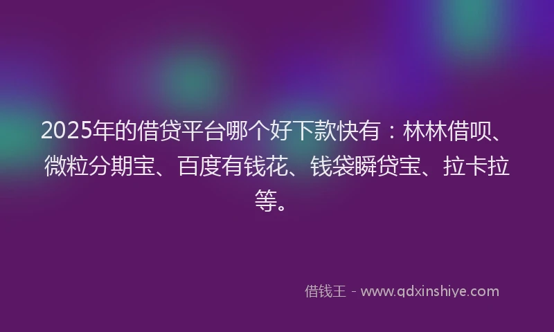 2025年的借贷平台哪个好下款快有：林林借呗、微粒分期宝、百度有钱花、钱袋瞬贷宝、拉卡拉等。
