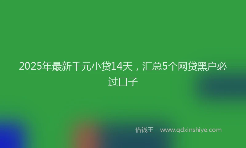 2025年最新千元小贷14天，汇总5个网贷黑户必过口子