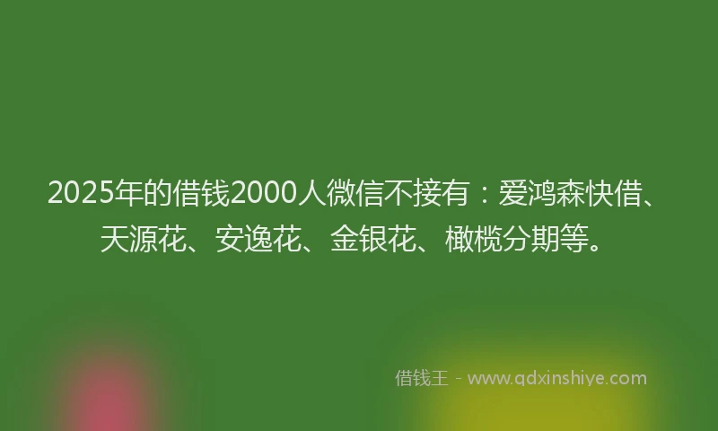 2025年的借钱2000人微信不接有：爱鸿森快借、天源花、安逸花、金银花、橄榄分期等。