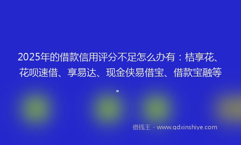 2025年的借款信用评分不足怎么办有：桔享花、花呗速借、享易达、现金侠易借宝、借款宝融等。