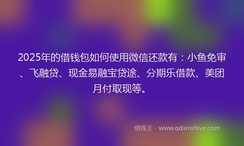 2025年的借钱包如何使用微信还款有：小鱼免审、飞融贷、现金易融宝贷途、分期乐借款、美团月付取现等。