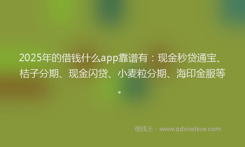 2025年的借钱什么app靠谱有：现金秒贷通宝、桔子分期、现金闪贷、小麦粒分期、海印金服等。