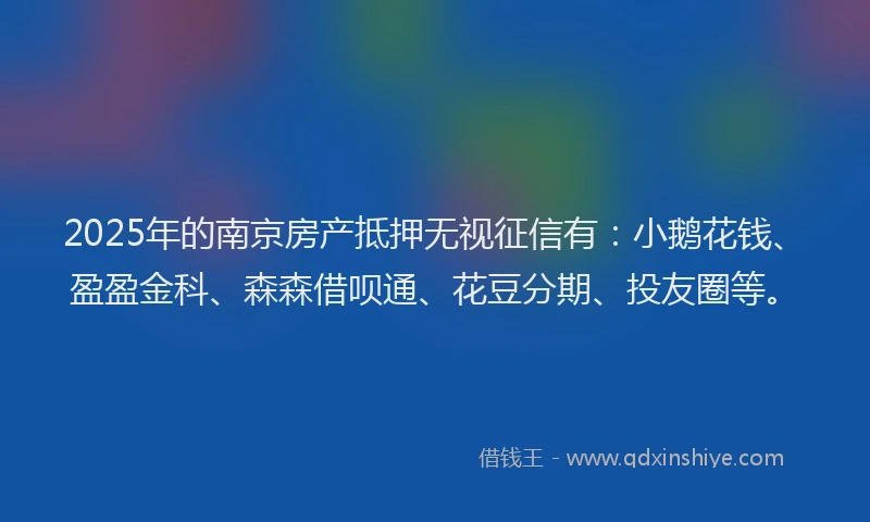 2025年的南京房产抵押无视征信有：小鹅花钱、盈盈金科、森森借呗通、花豆分期、投友圈等。