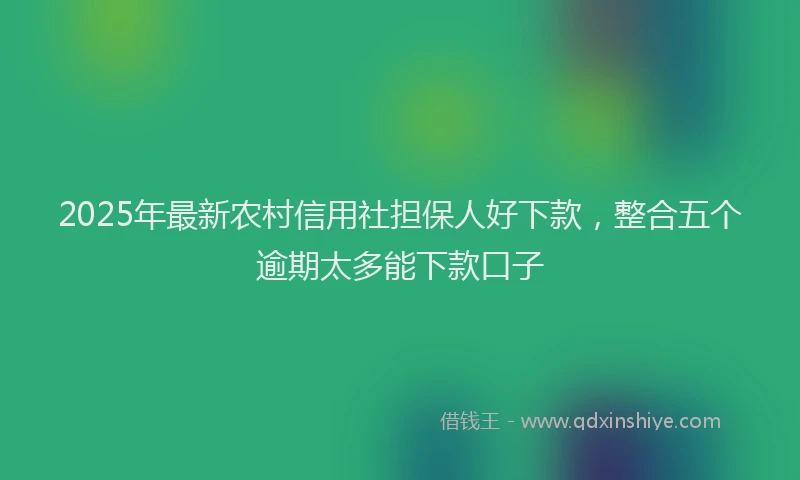 2025年最新农村信用社担保人好下款，整合五个逾期太多能下款口子