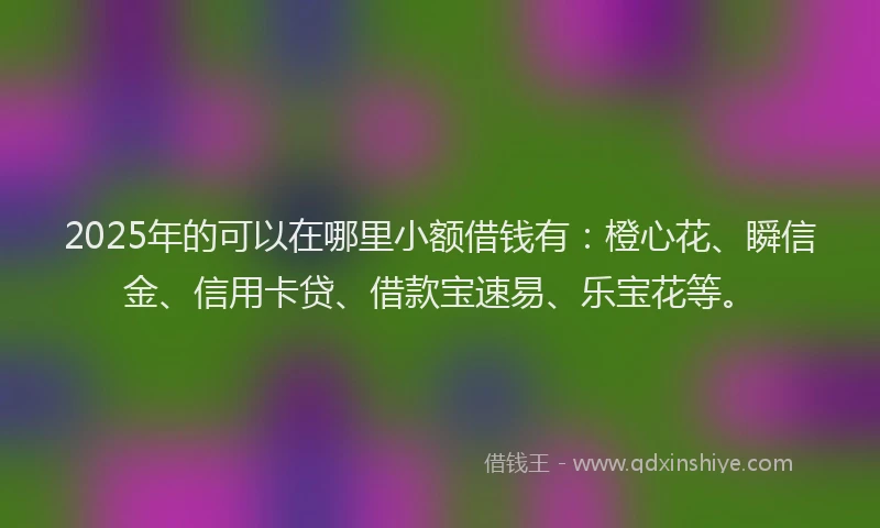 2025年的可以在哪里小额借钱有：橙心花、瞬信金、信用卡贷、借款宝速易、乐宝花等。