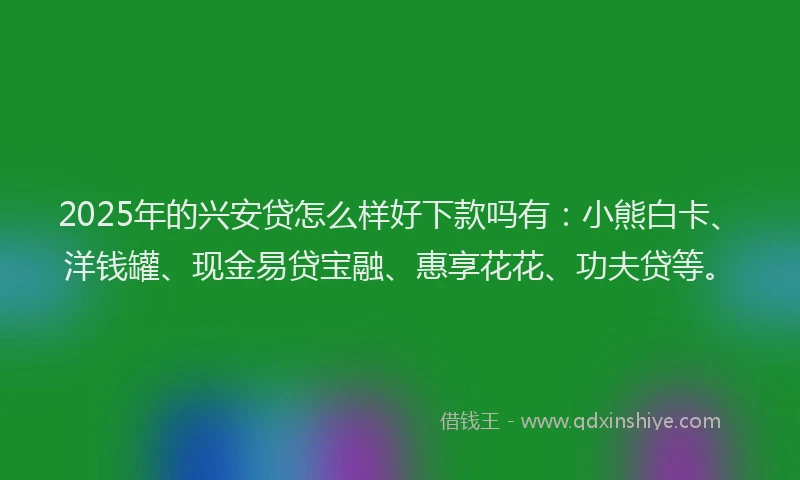 2025年的兴安贷怎么样好下款吗有：小熊白卡、洋钱罐、现金易贷宝融、惠享花花、功夫贷等。
