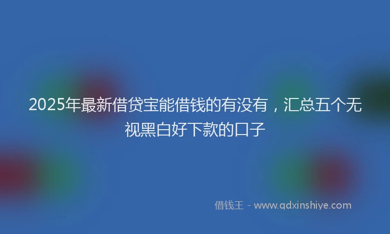 2025年最新借贷宝能借钱的有没有，汇总五个无视黑白好下款的口子
