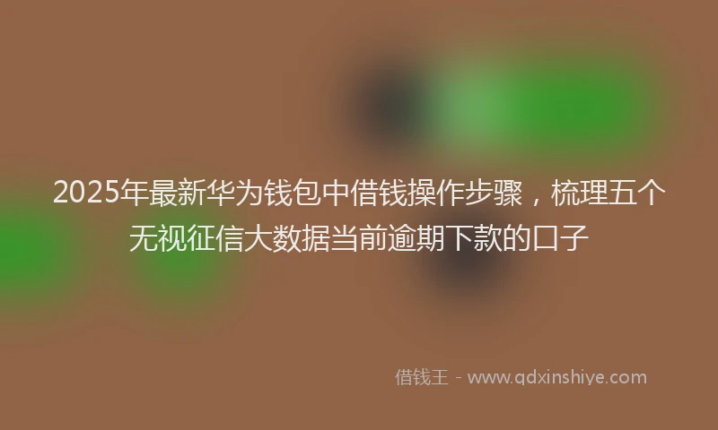 2025年最新华为钱包中借钱操作步骤，梳理五个无视征信大数据当前逾期下款的口子