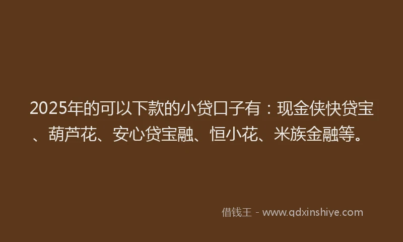 2025年的可以下款的小贷口子有：现金侠快贷宝、葫芦花、安心贷宝融、恒小花、米族金融等。