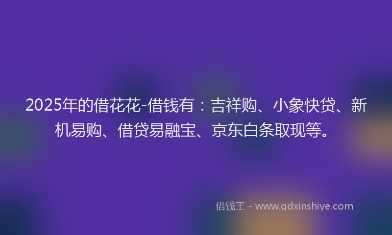 2025年的借花花-借钱有：吉祥购、小象快贷、新机易购、借贷易融宝、京东白条取现等。