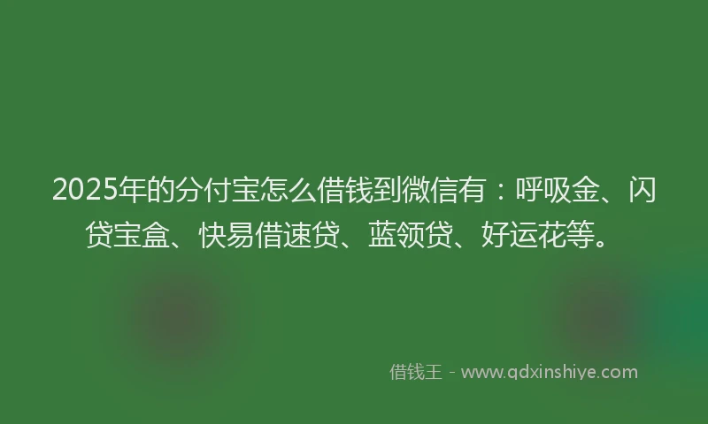 2025年的分付宝怎么借钱到微信有：呼吸金、闪贷宝盒、快易借速贷、蓝领贷、好运花等。