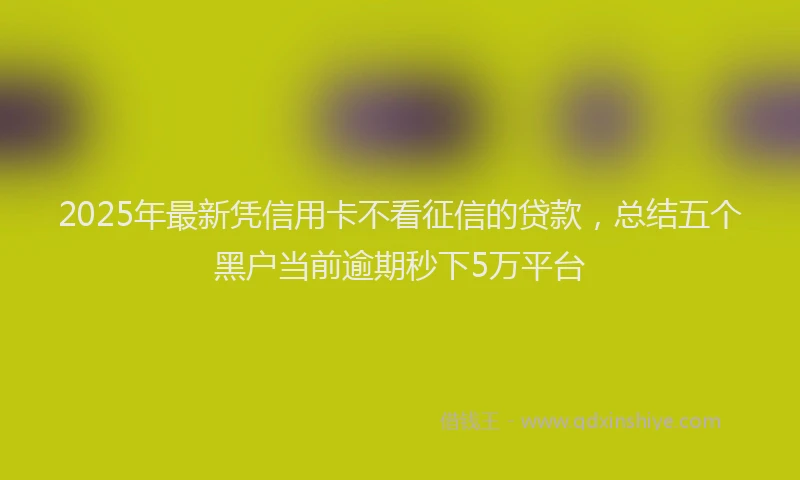 2025年最新凭信用卡不看征信的贷款，总结五个黑户当前逾期秒下5万平台