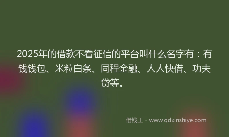 2025年的借款不看征信的平台叫什么名字有：有钱钱包、米粒白条、同程金融、人人快借、功夫贷等。