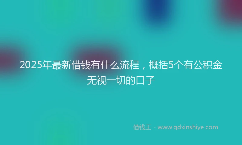 2025年最新借钱有什么流程，概括5个有公积金无视一切的口子