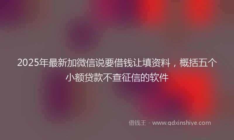 2025年最新加微信说要借钱让填资料，概括五个小额贷款不查征信的软件