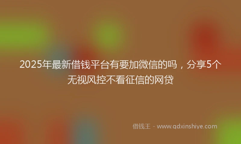 2025年最新借钱平台有要加微信的吗，分享5个无视风控不看征信的网贷