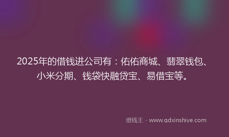 2025年的借钱进公司有：佑佑商城、翡翠钱包、小米分期、钱袋快融贷宝、易借宝等。