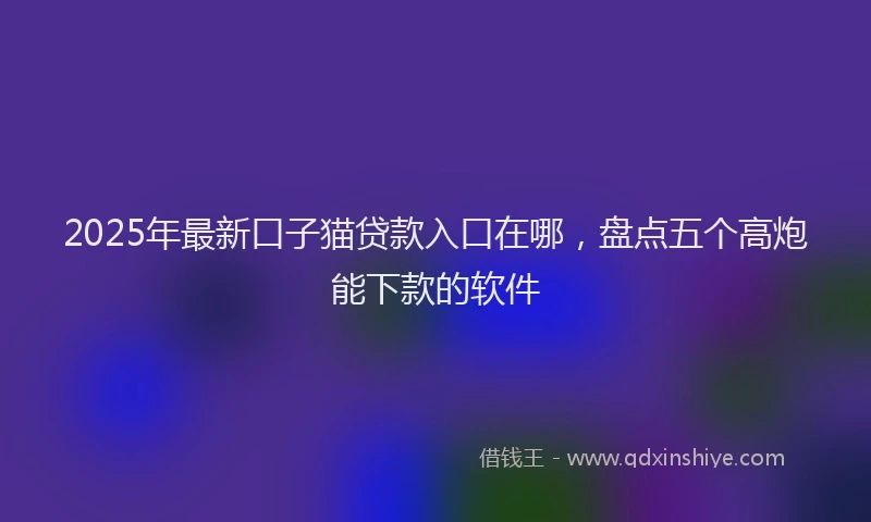 2025年最新口子猫贷款入口在哪，盘点五个高炮能下款的软件